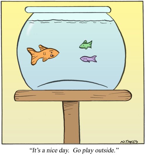 'It's a nice day. Go play outside.'