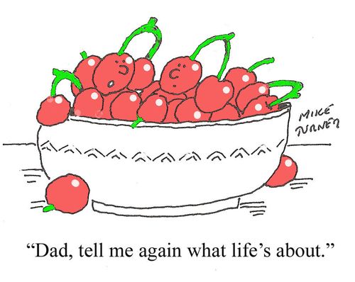 'Dad, tell me again what life's about.'