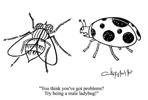'You think you've got problems?  Try being a male ladybug!'