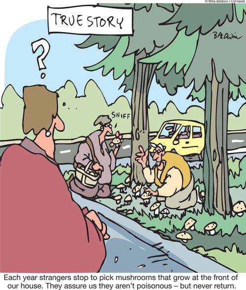 True Story: Each year strangers stop to pick mushrooms that grow at the front of  our house. They assure us they aren't poisonous - but never return.