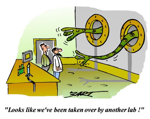 'Looks like we've been taken over by another lab!'