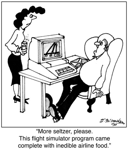 'More seltzer, please. This flight simulator program came complete with inedible airline food.'