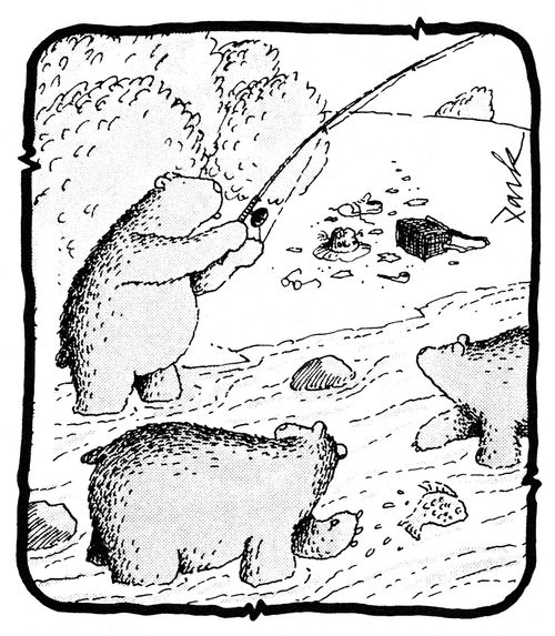 Bears catching fish
