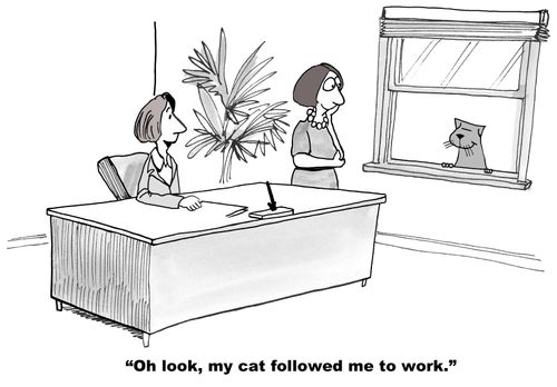"Oh look, my cat followed me to work."