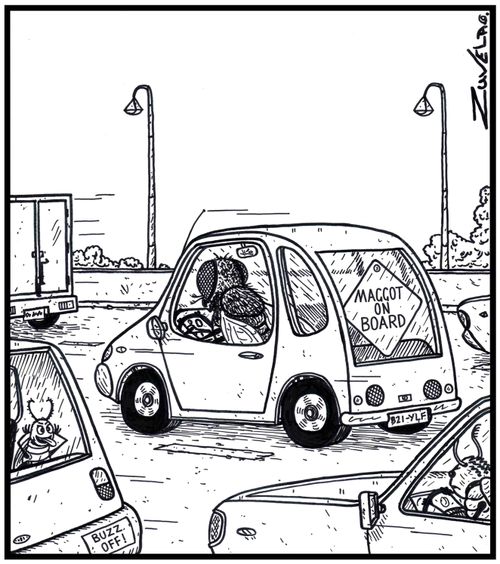 Sign in the back of a fly's car reads Maggot on Board.