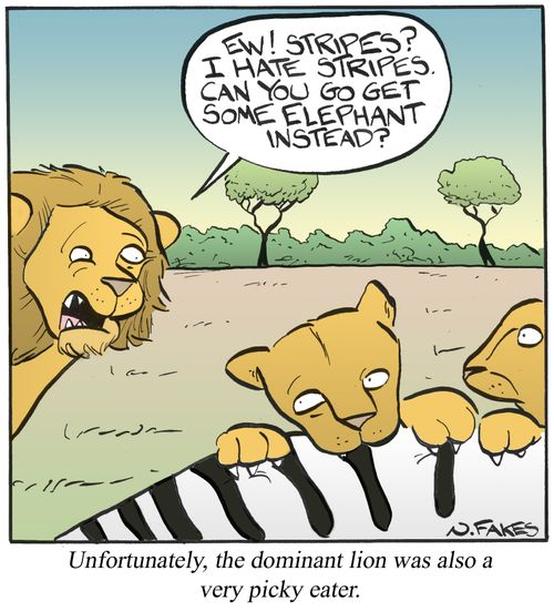 Unfortunately, the dominant lion was also a very picky eater.