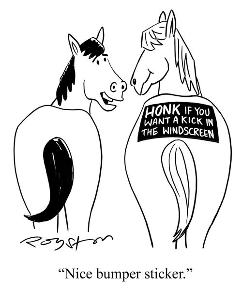 Horse has sticker on rear end that says 'Honk if you want a kick in the windscreen'. Other horse says, 'Nice bumper sticker.'