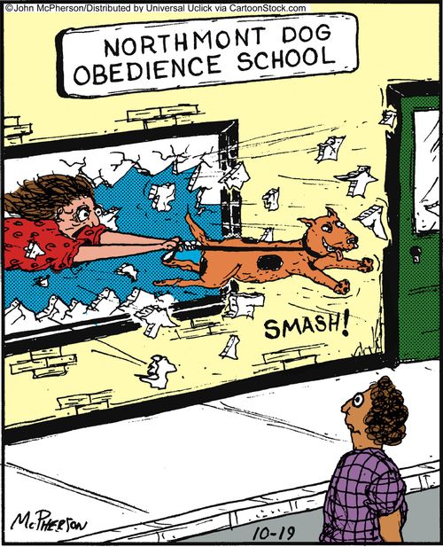 Northmont dog obedience school.