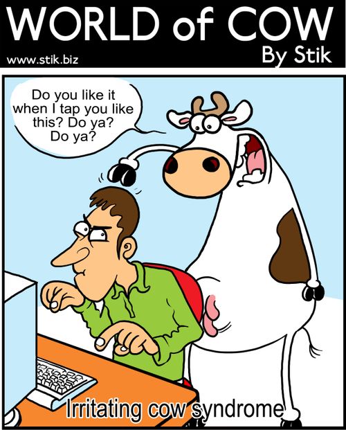 Irritating cow syndrome.