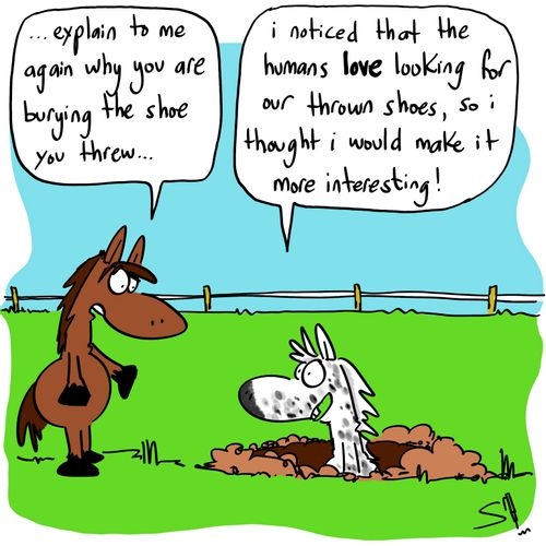 '...explain to me again why you are burying the shoe you threw..'