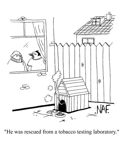 "He was rescued from a tabacco testing laboratory"
