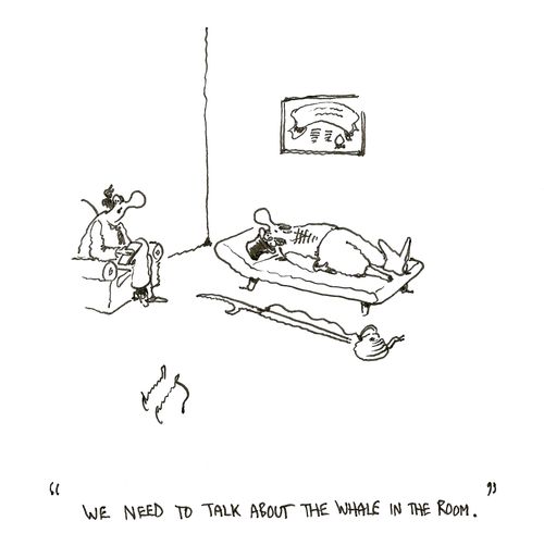 "We need to talk about the whale in the room."