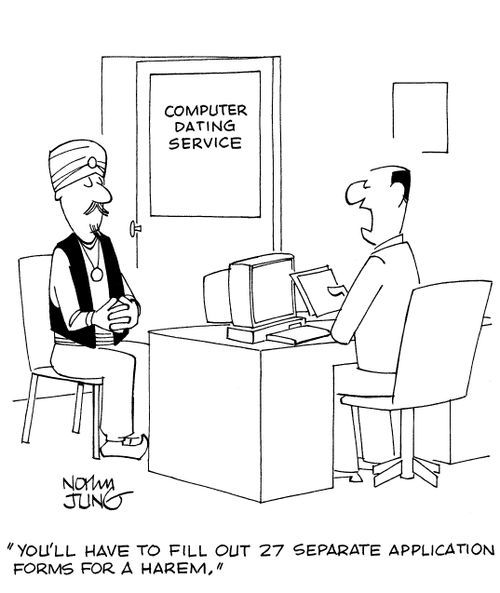 'You'll have to fill out 27 separate application forms for a harem.'