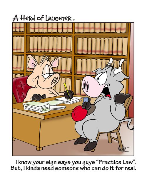 I know your sign says you guys 'Practice Law'. But , I kinda need someone who can do it for real.