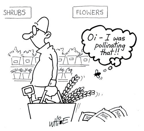 "Oi - I was pollinating that!!"