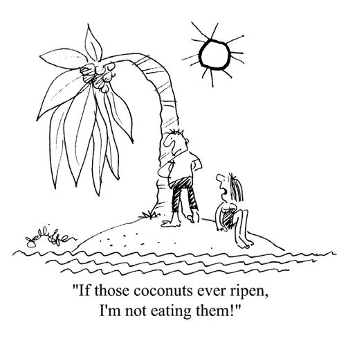 'If those coconuts ever ripen, I'm not eating them!'