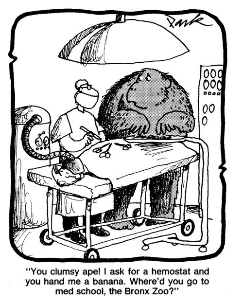'You clumsy ape! I asked for a hemostat and you handed me a banana. Where'd you go to med school, the Bronx Zoo?'