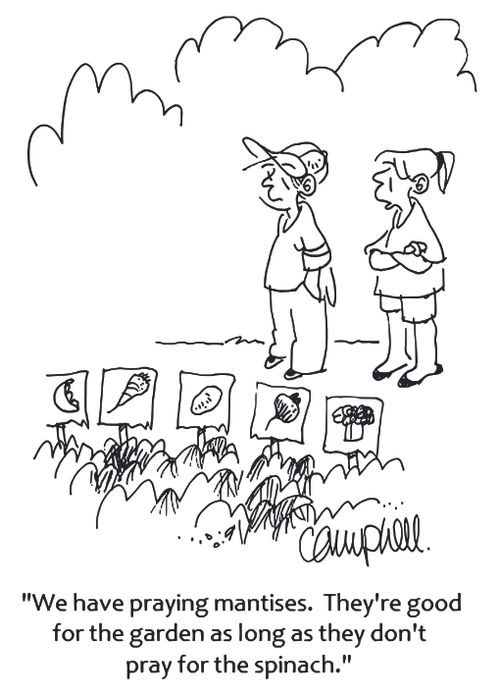 'We have praying mantises. They're good for the garden as long as they don't pray for the spinach.'