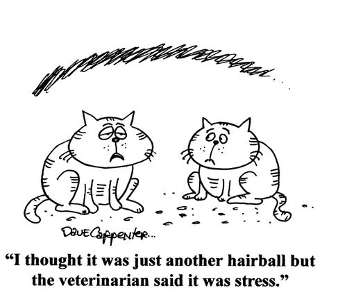 'I thought it was just another hairball but the vet said it was stress.'