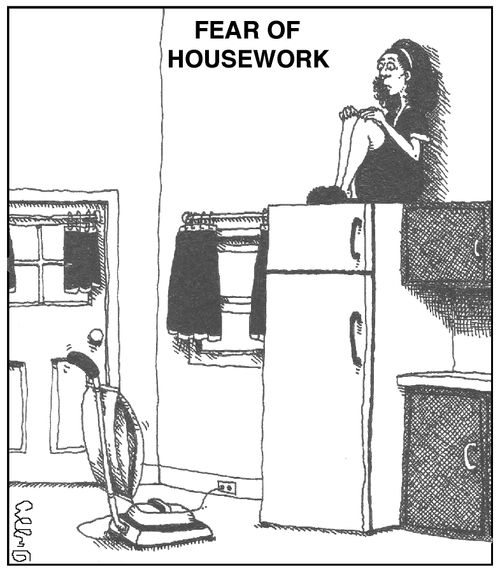 Fear of housework.