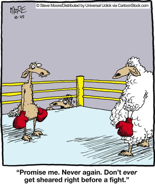 'Promise me. Never again. Don't ever get sheared right before a fight.'