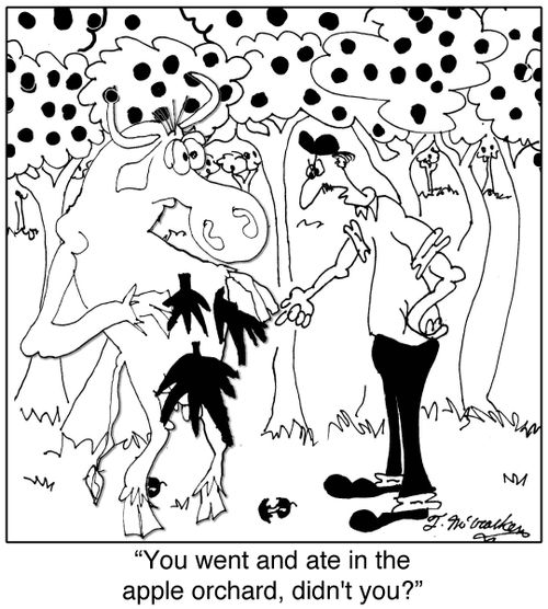  'You went and ate in the apple orchard, didn't you?'