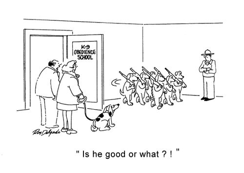 'Is he good or what?!'