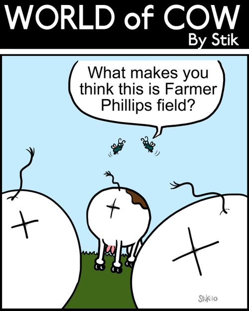 What makes you think this is Farmer Phillips field?