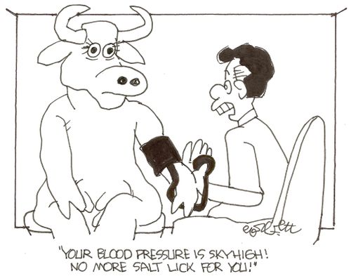 'Your blood pressure is skyhigh!  No more salt lick for you!'