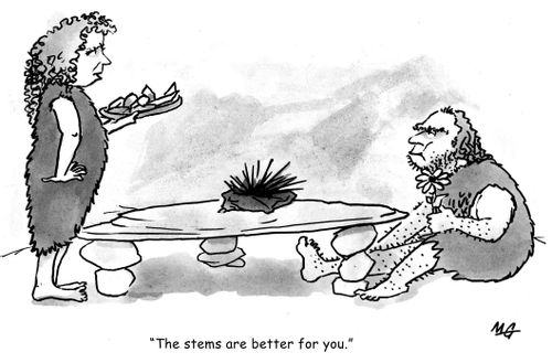 'The stems are better for you.'