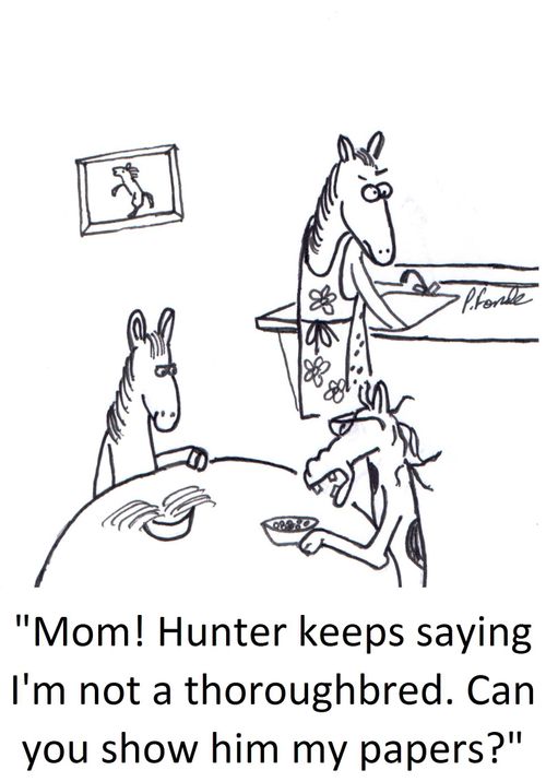 'Mom! Hunter keeps saying I'm not a thoroughbred. Can you show him my papers?'