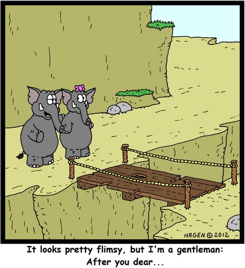'It looks pretty flimsy, but I'm a gentleman: After you dear...'