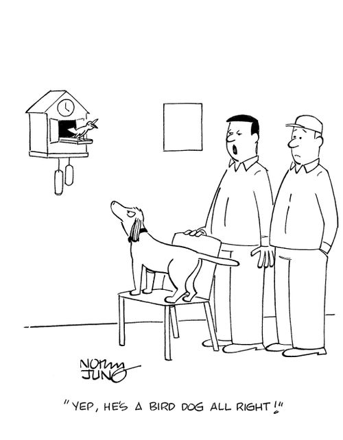 'Yep, he's a bird dog all right!'