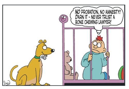 'No probation, no amnesty! Darn it - never trust a bone chewing lawyer!'