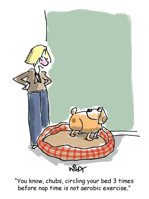 "You know, chubs, circling your bed 3 times before nap time is not aerobic exercise."