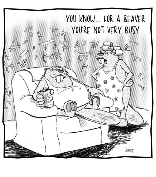 'You know... for a beaver you're not very busy.'