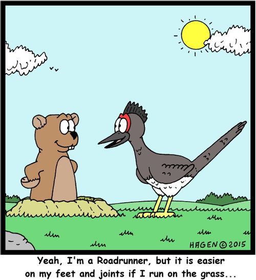 "Yeah, I'm a Roadrunner, but it is easier on my feet and joints if I run on the grass..."