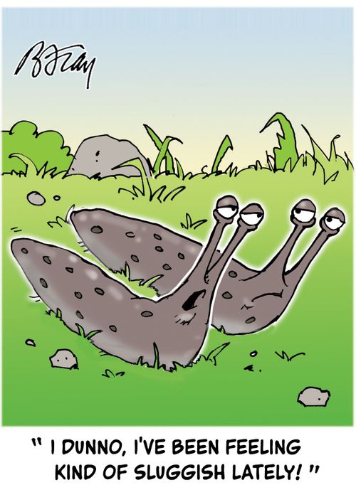 "I dunno, I've been feeling kind of sluggish lately!"