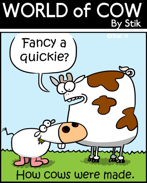 How Cows were made.