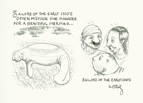 Sailors of the Early 1700's often mistook the manatee for a beautiful mermaid...