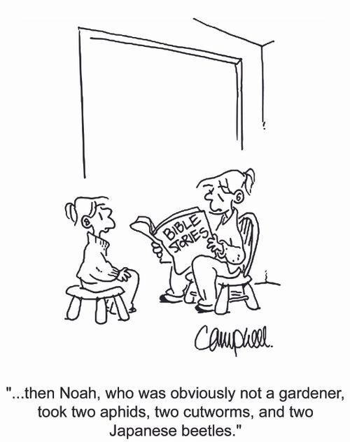 '...then Noah, who was obviously not a gardener, took two aphids, two cutworms, and two Japanese beetles.'