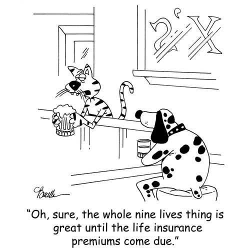 'Oh, sure, the whole nine lives thing is great until the life insurance premiums come due.'