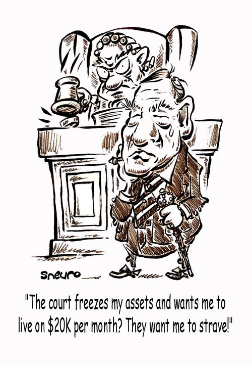 The court freezes my assets and wants me to live on $20K per month? They want me to starve!
