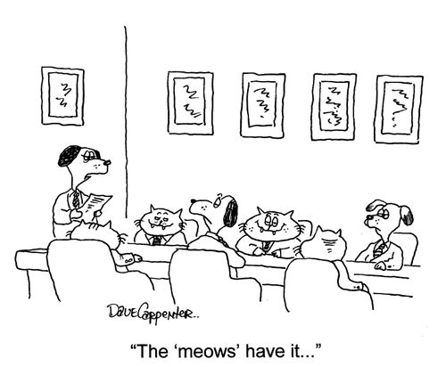 'The 'meows' have it...'