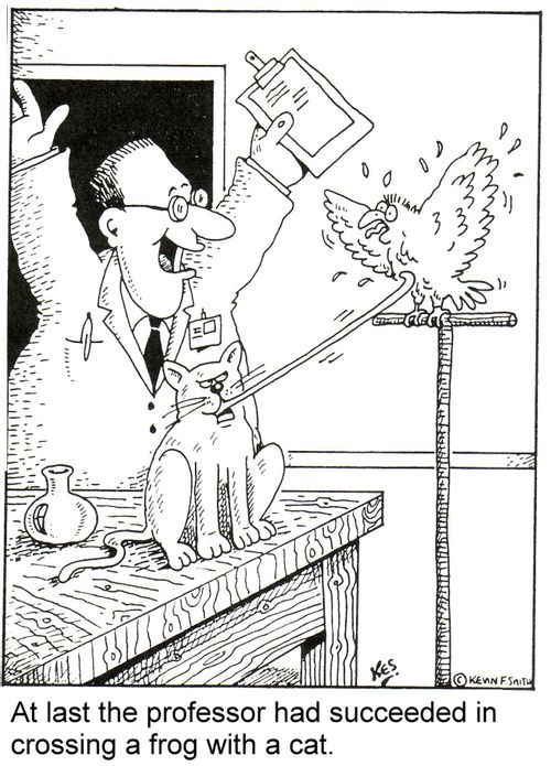 At last the professor had succeded in crossing a frog with a cat.