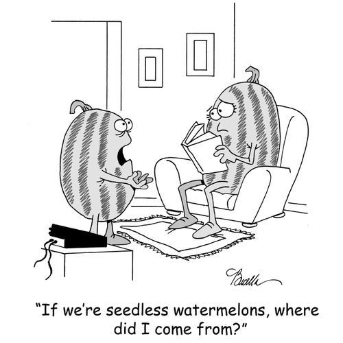 'If we're seedless watermelons, where did I come from?'