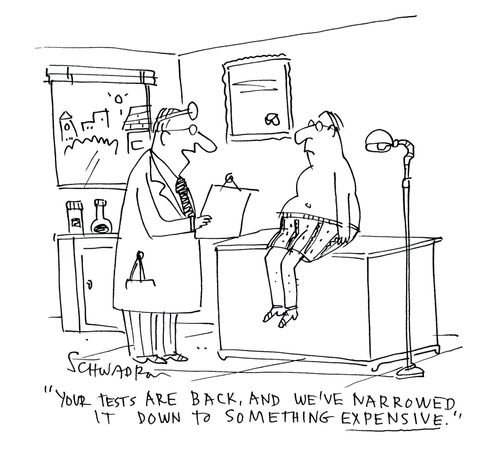 'Your tests are back, and we've narrowed it down to something expensive.'