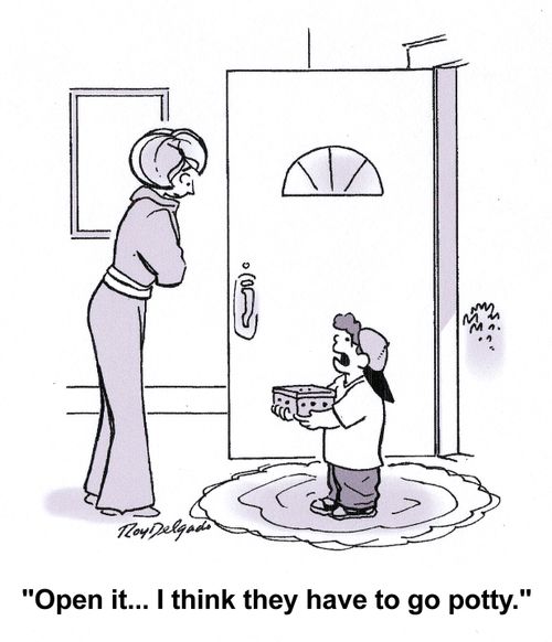 'Open it... I think they have to go potty.'