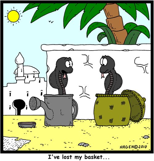 'I've lost my basket...'