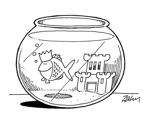Fish king swimming around his bowl!